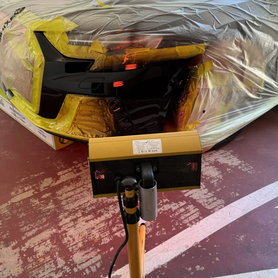 Professional Paint process
