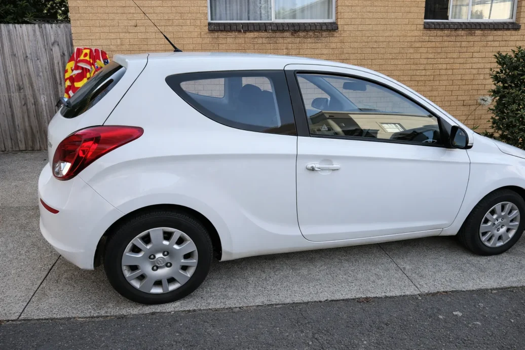 Fixed paint coating